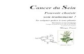 Cancer du Seinbreast-cancer-du-sein-artemisia-annua-sweet- .mais sans les lourds effets secondaires