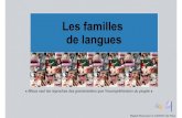 Copie de Les familles lx - Fran§ais Langue .â€¢ ex : le vietnamien , le chinois , le birman , le
