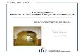Le Maghreb face aux nouveaux enjeux mondiaux - ifri.org .alternatif au capitalisme globalis© »