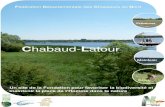 Site chabaud latour