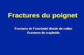Poignet - Fractures