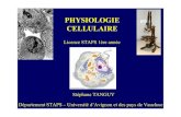 PHYSIOLOGIE CELLULAIRE