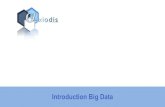 Introduction Big Data -   dutilise Hadoop. Vocabulaire . Enjeux stratgiques 10 Qu'est-ce que le Big Data? Big Data et RH Annexe Enjeux technologiques