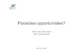 Parasites opportunistes? .ARL 03.10.2008 Parasites opportunistes? Marie-Lise Tritten-Arber ARL 3