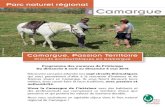 Camargue, Passion .Entre mer et marais ... D©couverte de la culture du riz de Camargue ... culturel