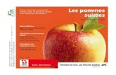 Tout sur la pomme, les principales Les pommes 1 et de ... pommes suisses_Mini...  Les pommes1 suisses