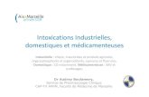 Intoxications Industrielles, domestiques et ...sites. Intoxications Industrielles, domestiques et