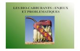 LES BIO-CARBURANTS : ENJEUX ET pedagogiques/   des carburants liquides produits  