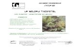 LE MILIEU TROPICAL - paril.crdp.ac-caen. LE MILIEU TROPICAL LES PLANTES : ADAPTATION AU MILIEU SOMMAIRE-Informations