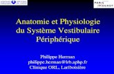 Anatomie et Physiologie du Syst¨me Vestibulaire l3bichat2013-2014. Anatomie et Physiologie du Syst¨me