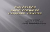 DR TCHEMMOUN MEDECIN RADIOLOGUE - univ.ency- .RADIOLOGIQUE DE L'APPAREIL URINAIRE . glande surr©nale