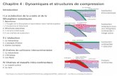 Chapitre 4 : Dynamiques et structures de compressionblog.u- .Chapitre 4 : Dynamiques et structures
