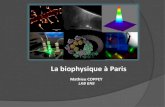 La biophysique   Paris - phys.ens.fr .Biophysique   Paris Montagne St Genevi¨ve: (~50) Institut