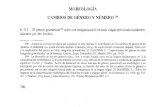 MORFOLOGIA CAMBIOS DE GˆNERO Y N™MERO - .MORFOLOGIA CAMBIOS DE GˆNERO Y N™MERO #312. ... la concordancia