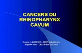 CANCERS DU RHINOPHARYNX CAVUM - chrysalides1215 .Zone   faible risque = 0.1   0.2/100 000 - Europe