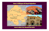 Rajasthan trip