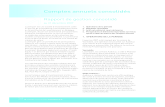 Comptes annuels consolid©s - .Rapport de gestion consolid© au 31 d©cembre 2007 ... RTL Group,