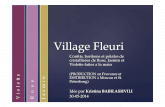 Village Fleuri Business Idea -  30-05-14 FR