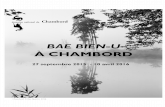 BAE BIEN-U € CHAMBORD - ac-orleans-tours.fr .1 - Un motif sans ... Chambord est le joyau de renaissante