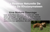 La Reserve  Naturelle  De  Grizzlis  De  Khutzeymateen