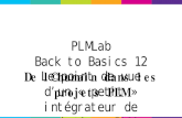 Plm lab btb12
