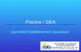 Piscine / SEA