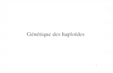 6-Genetique Des Haploides