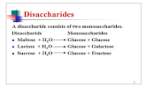 Disaccharides. Disaccharides - Maltose Glucose + glucose; alpha acetal linkage