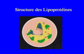Structure des Lipoprot©ines