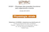 Physiologie r£©nale - LPTMC St£©phane LOURDEL ( @upmc.fr) Centre de Recherche des Cordeliers