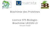 Biochimie des Prot£©ines - EcoFoG ... Biochimie des Prot£©ines Licence STS Biologie-Biochimie UEO26