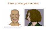 T£¾te et visage dupuis/Modelisation et animation par ordinateur IFT...¢  T£¾te et visage humains Tir£©