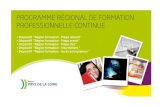 DISPOSITIF REGION FORMATION - PREPA REBOND LP Daniel Brottier - Centre de Formation Continue des Apprentis