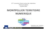MONTPELLIER TERRITOIRE NUMERIQUE - UNIL 2017-08-31¢  Montpellier Innovation compl£¨te MTN par un appel