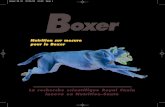 Nutrition sur mesure pour le Boxer FR.pdfآ  Le Boxer est dâ€™abord et avant tout un chien dynamique.