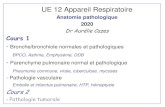 UE 12 Appareil Respiratoire UE 12 Appareil Respiratoire Anatomie pathologique 2020 Dr Aurأ©lie Cazes