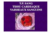 T.P. SANG TISSU CARDIAQUE VAISSEAUX SANGUINSlgcorneille-lyc.spip.ac-rouen.fr/IMG/pdf/sang_coeur_vaisseauxodile-3.آ 