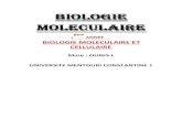 BIOLOGIE MOLECULAIRE 2...آ  2020-03-19آ  BIOLOGIE MOLECULAIRE ET CELLULAIRE Mme : OUNIS.L UNIVERSITE