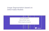 Image Segmentation based on Deformable Models Segmentation system Rules â€¢ static rules [selection]