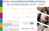 B.T.S. COMMERCE INTERNATIONAL en Apprentissage 2019 â€“ L e B.T.S. Commerce International en apprentissage,