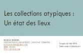 Les collections atypiques en biblioth¨que : un ©tat des lieux