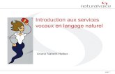 2010 accueils vocaux_langage_naturel