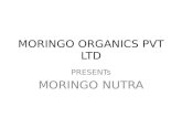 MORINGO ORGANICS COMPENSESATION  PLAN