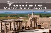 Tunisie_Musee a€ ciel ouvert
