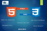 HTML5 & CSS3 : Jeux