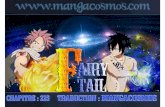 Fairy Tail Chapitre 225