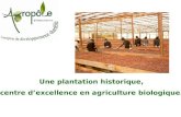 Une plantation historique, centre dexcellence en agriculture biologique