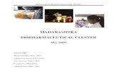 Maharashtra Biopharmaceutical Cluster Maharashtra Biopharmaceutical Cluster 2 Executive Summary Biopharmaceuticals