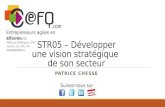 Str05   Developper une vision strategique