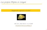 1 Les projets P©pite et Lingot M2-IFL, DU-TICE, 11-12-2009  @lip6.fr Diagnostic cognitif et EIAH